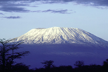 杰贝阿里国际海运
