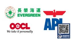 EMC、OOCL、APL最新规定和费用调整