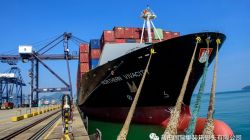 盐田国际新添中澳快线，11天直达悉尼！​